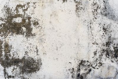 Concrete Tinting in Frisco, TX