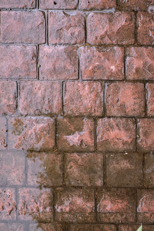 Decorative Concrete Repair in Bellingham, WA